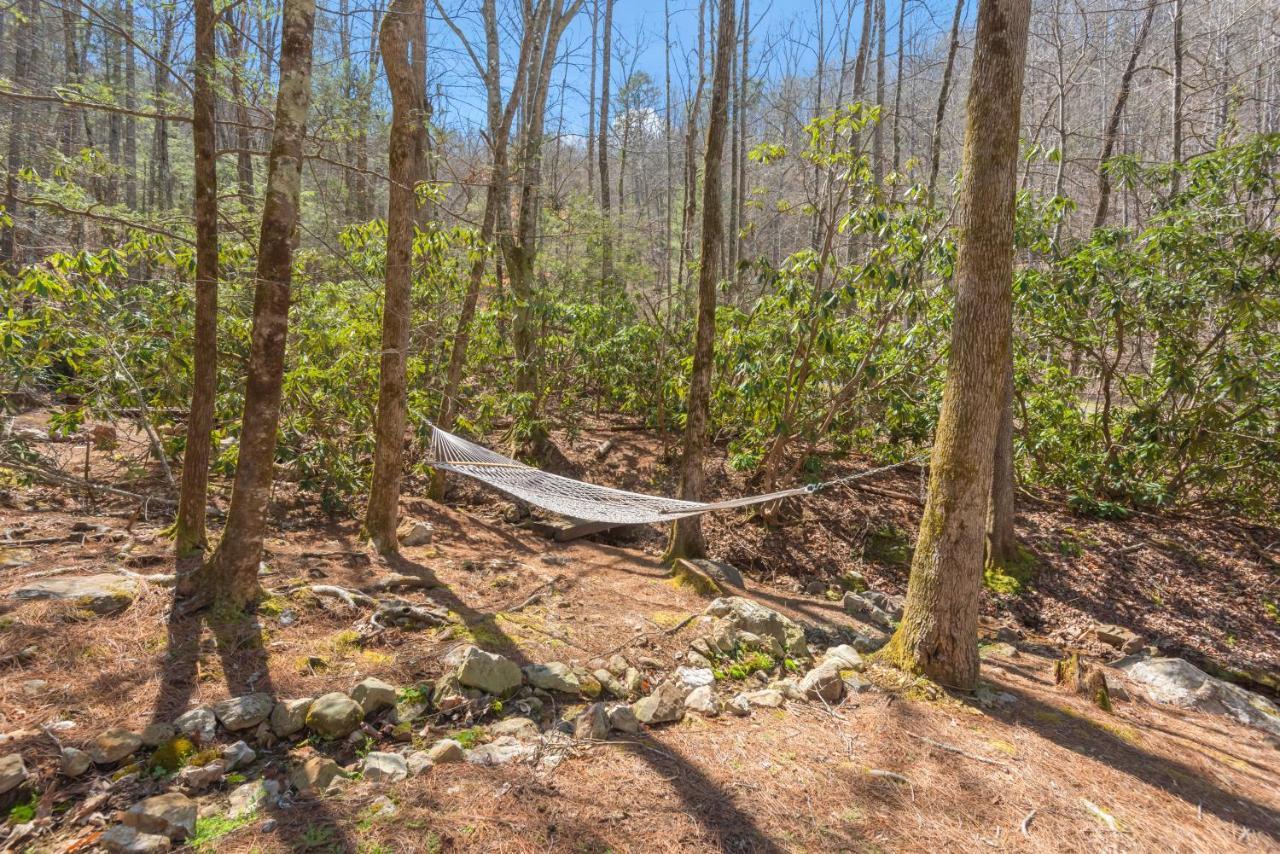 Вілла Bear Paw Trail Сев'єрвілл Екстер'єр фото